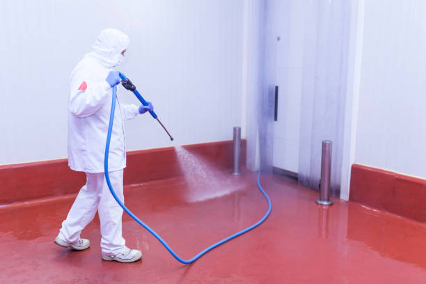 Best Graffiti Removal  in Missouri City, TX